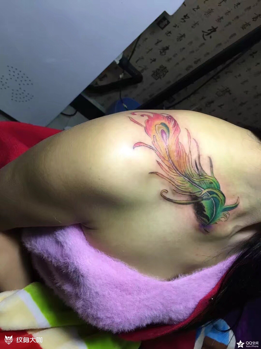 彩色凤尾_纹身图案手稿图片_黄涔倪的纹身作品集