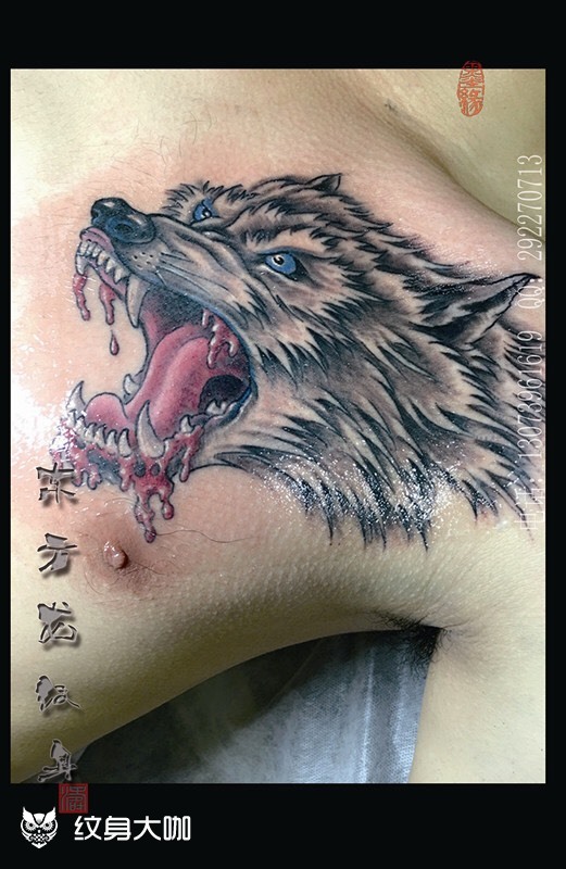 狼纹身_纹身图案手稿图片_林涛的纹身作品集