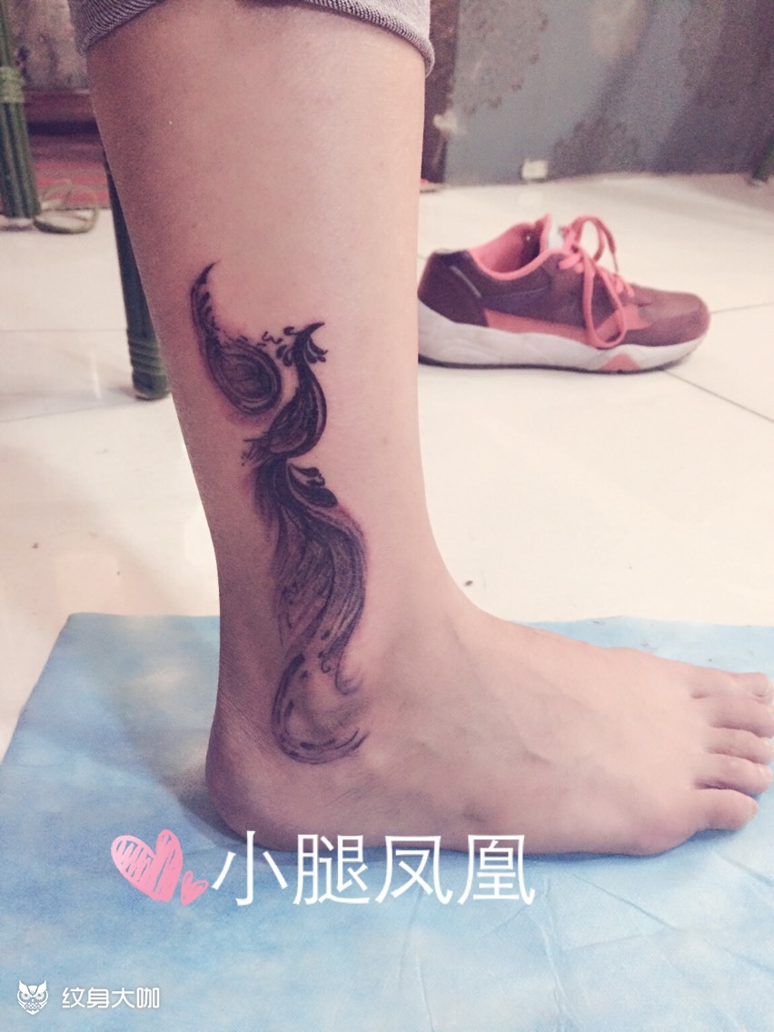 小腿小凤凰