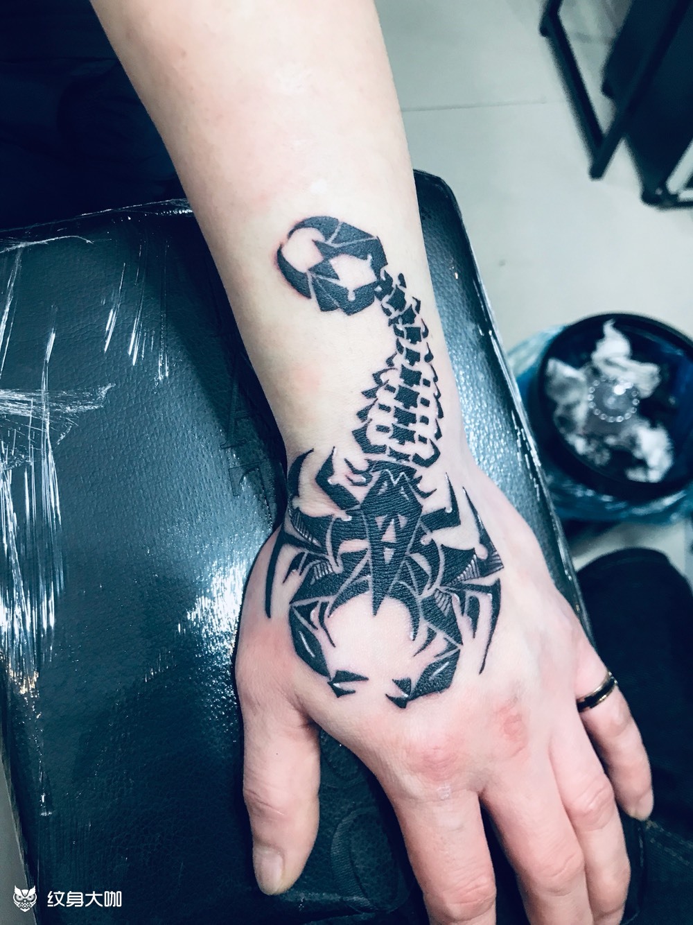 蝎子图腾_纹身图案手稿图片_sun·tattoo的纹身作品集