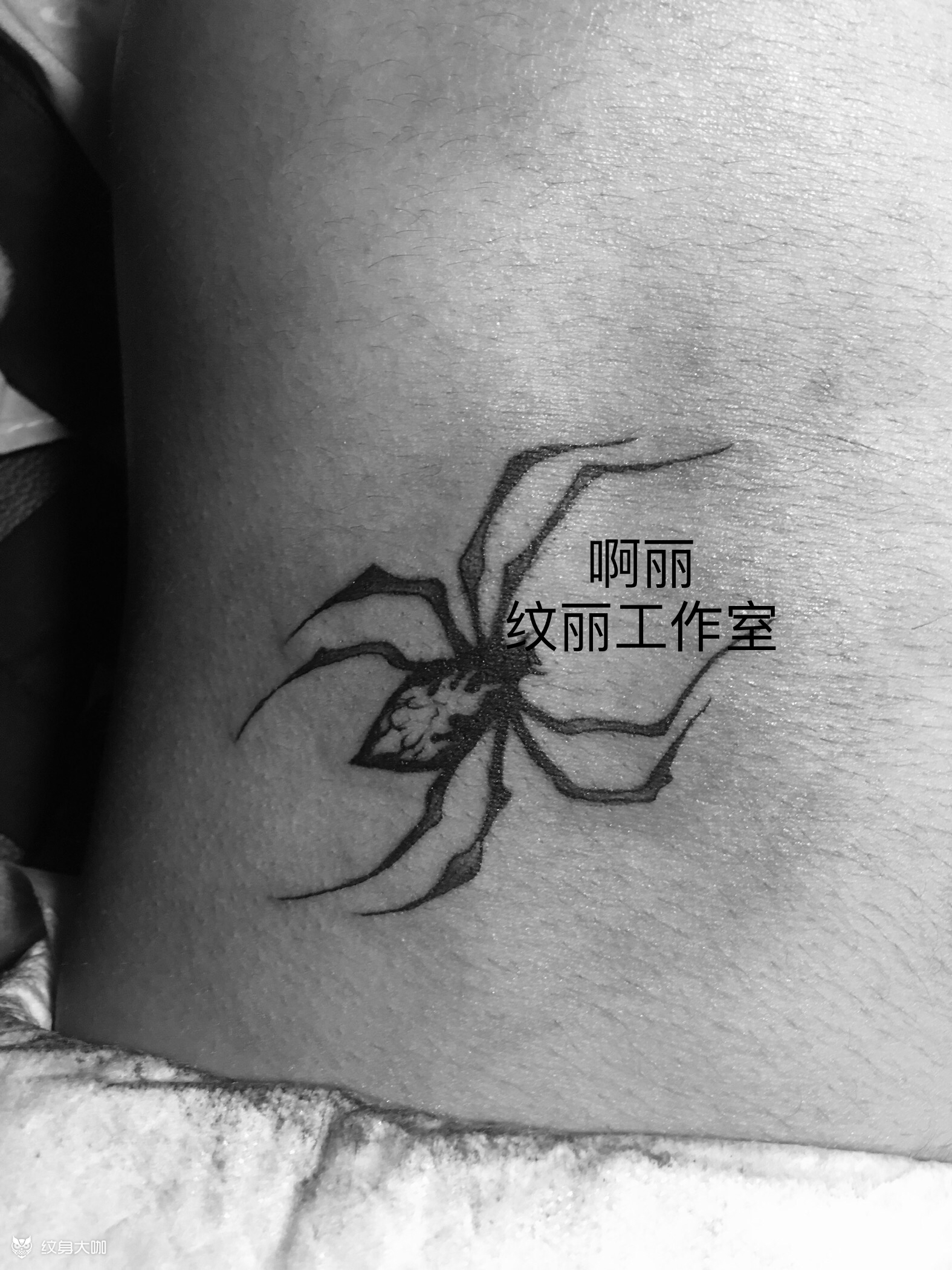 蜘蛛_纹身图案手稿图片_刺绣堂的纹身作品集