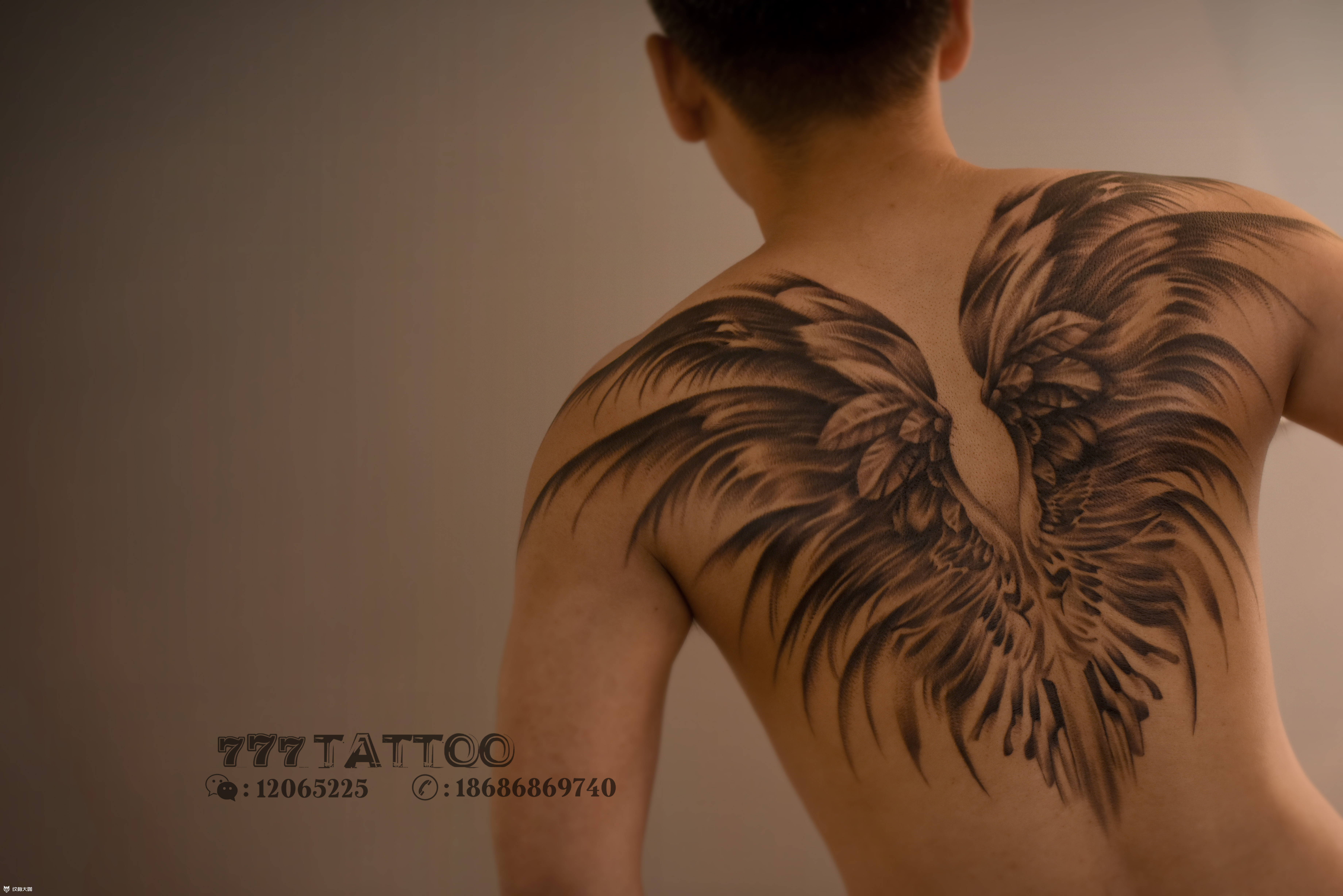 后背翅膀纹身_大图_上海由龙刺青
