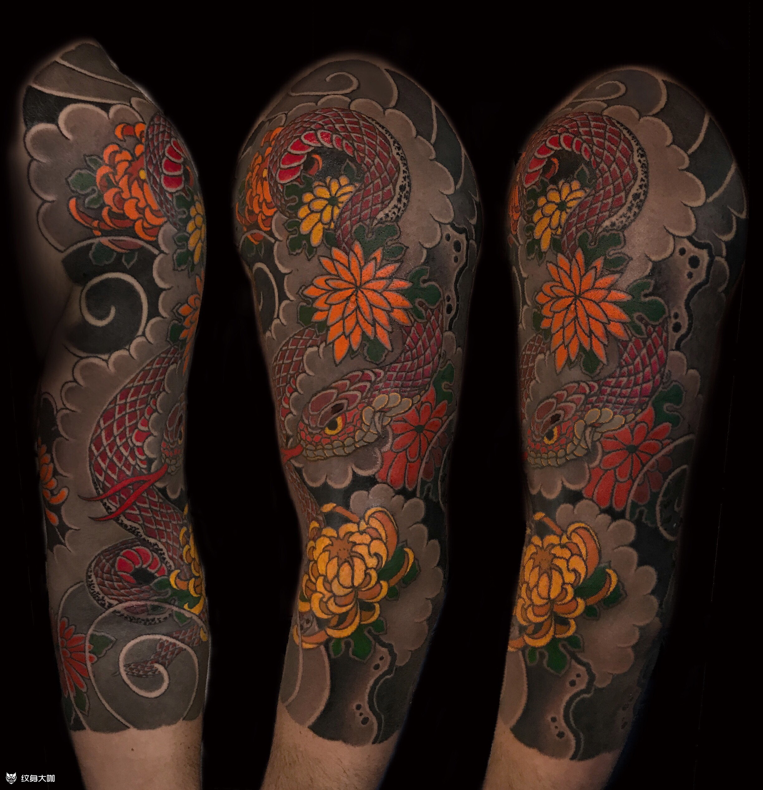 七分袖鲤鱼纹身_上海纹身 上海纹身店 上海由龙纹身2号工作室