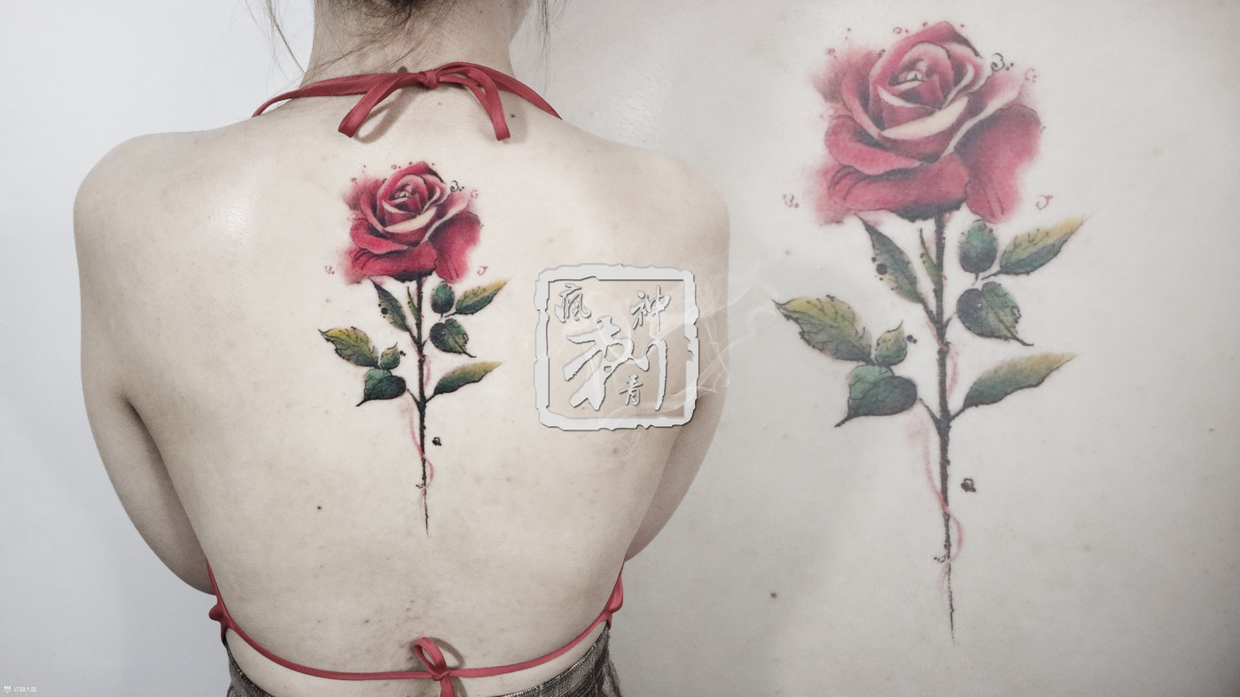 后背色彩玫瑰纹身图案