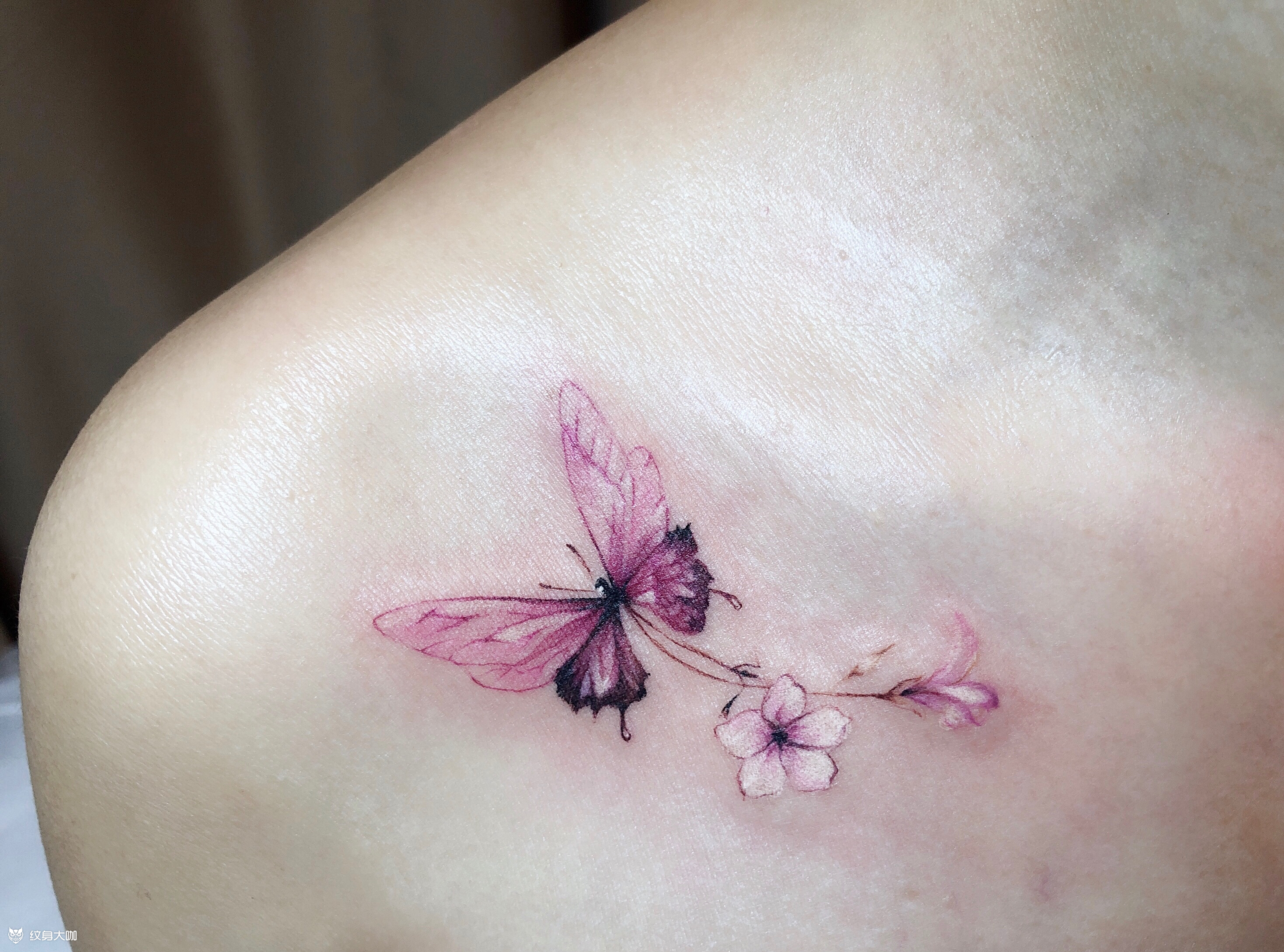 sMrZhao纹身推荐（第 276 期）| 彩色 · 植物 · 蝴蝶 · 甜美少女纹身 - 知乎