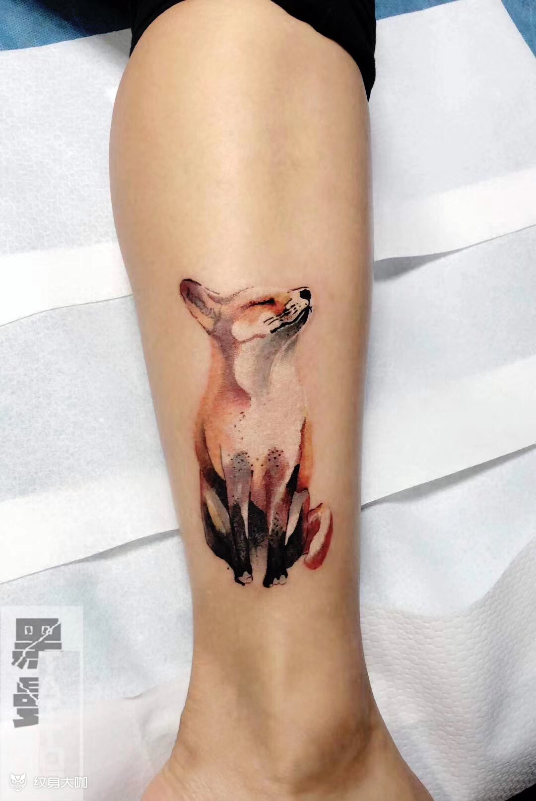 小腿彩色狐狸花卉纹身图案