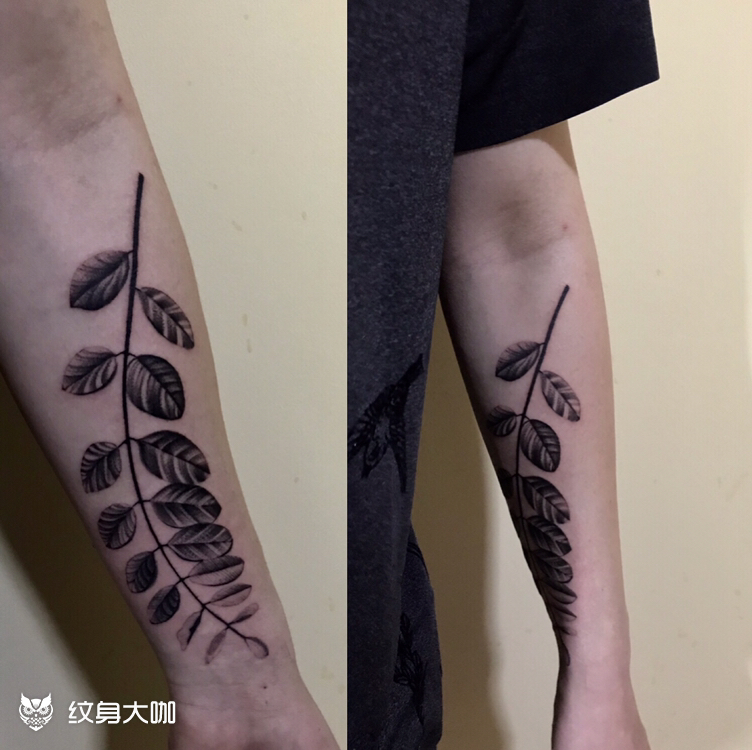 树叶_纹身图案手稿图片_sun·tattoo的纹身作品集