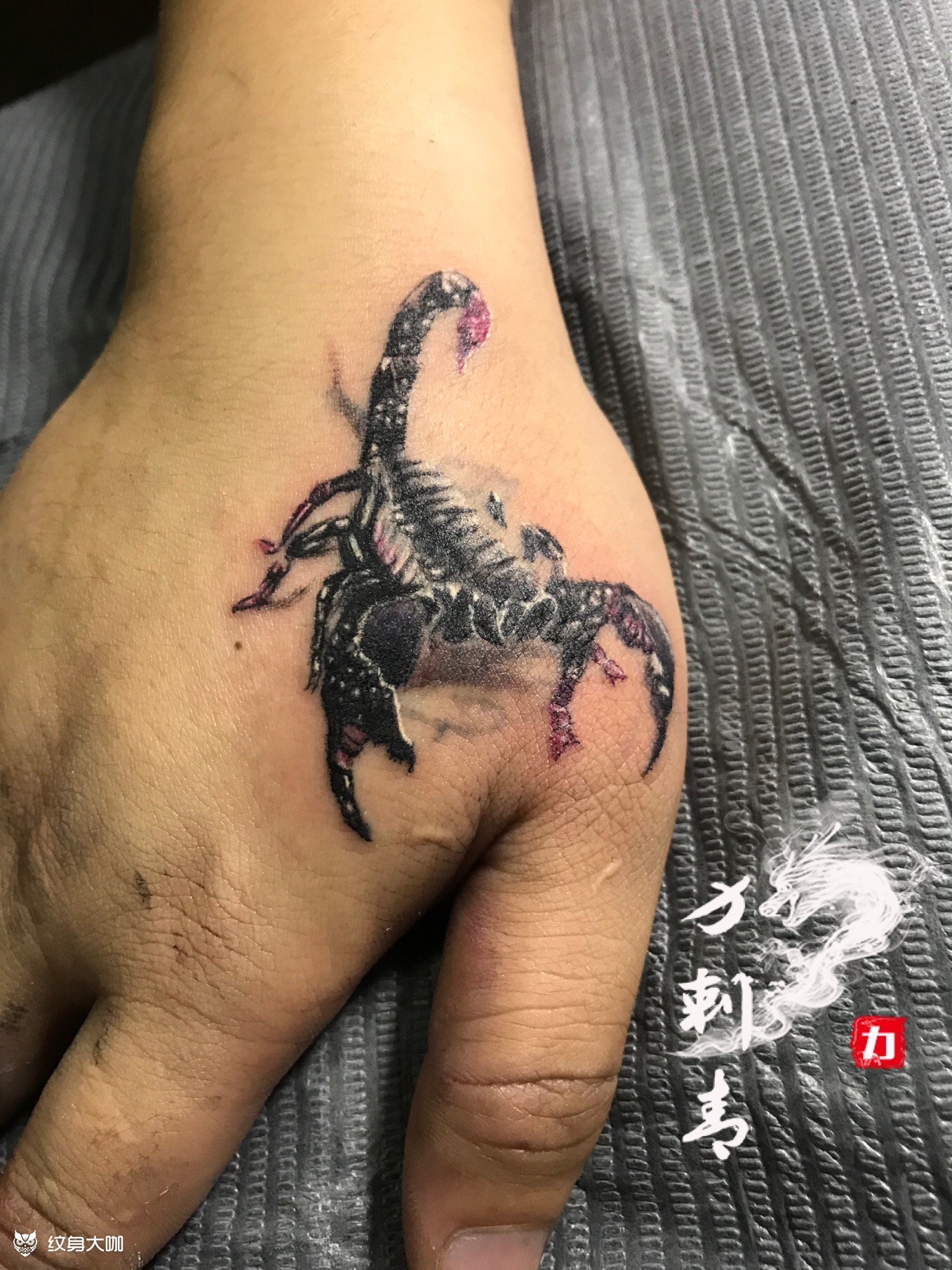 虎口蝎子_纹身图案手稿图片_何力的纹身作品集