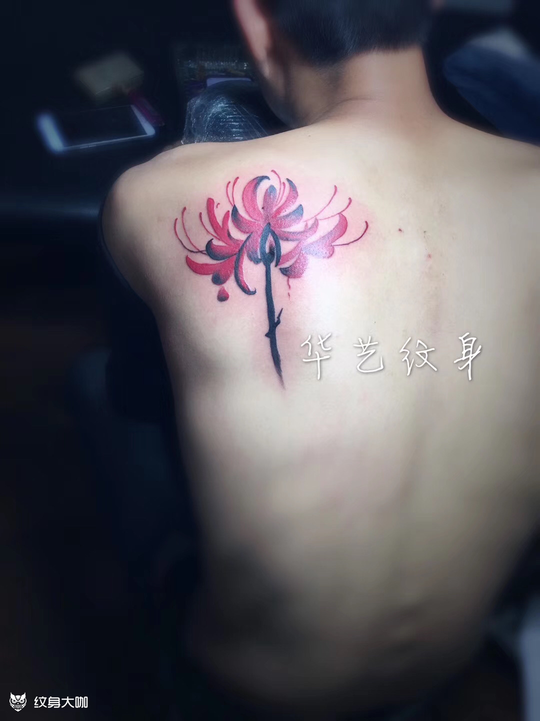 彼岸花_纹身图案手稿图片_华艺的纹身作品集