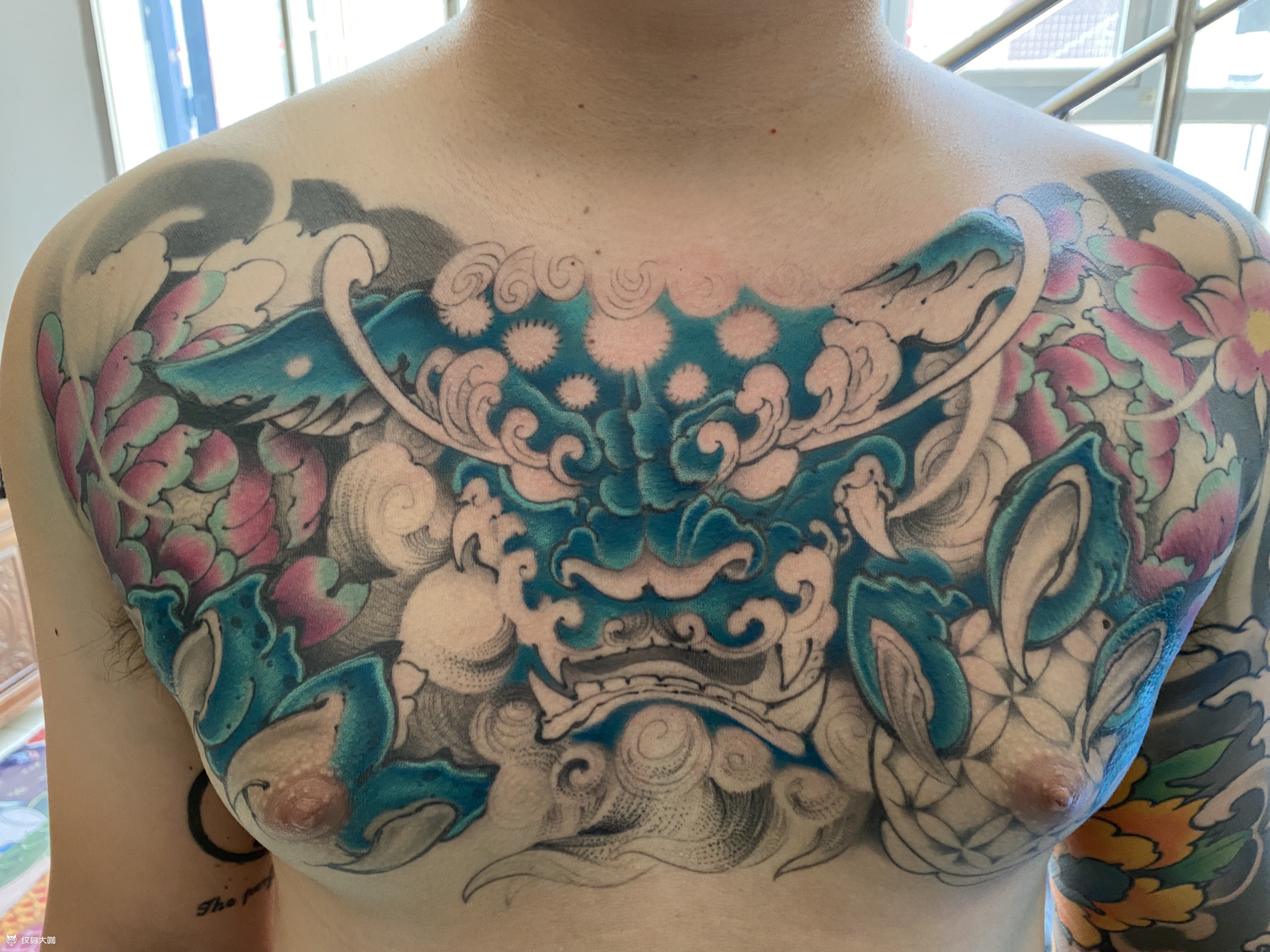 花胸唐狮彩色_纹身图案手稿图片_秦tattoo的纹身作品集