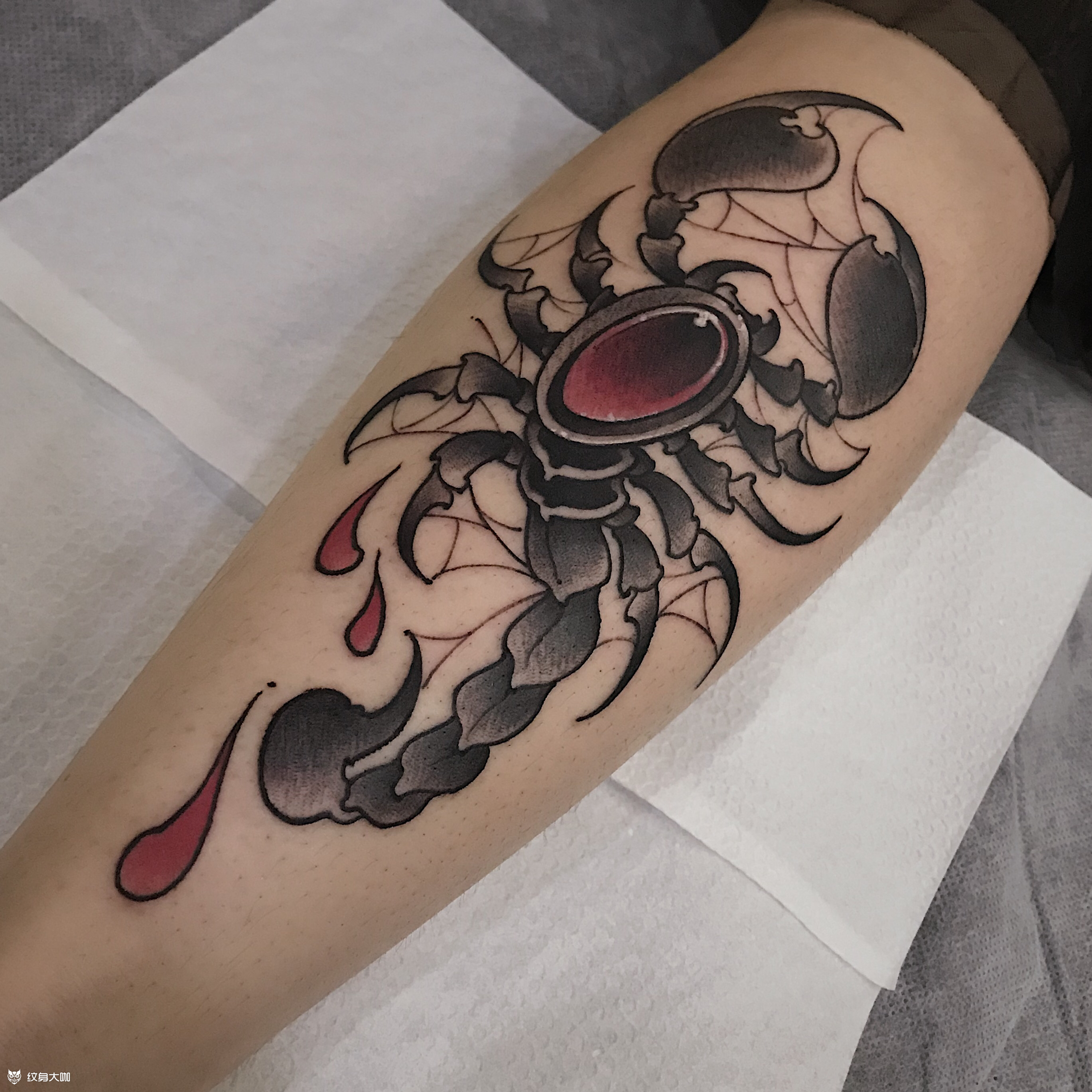 蝎子_纹身图案手稿图片_胡子的纹身作品集