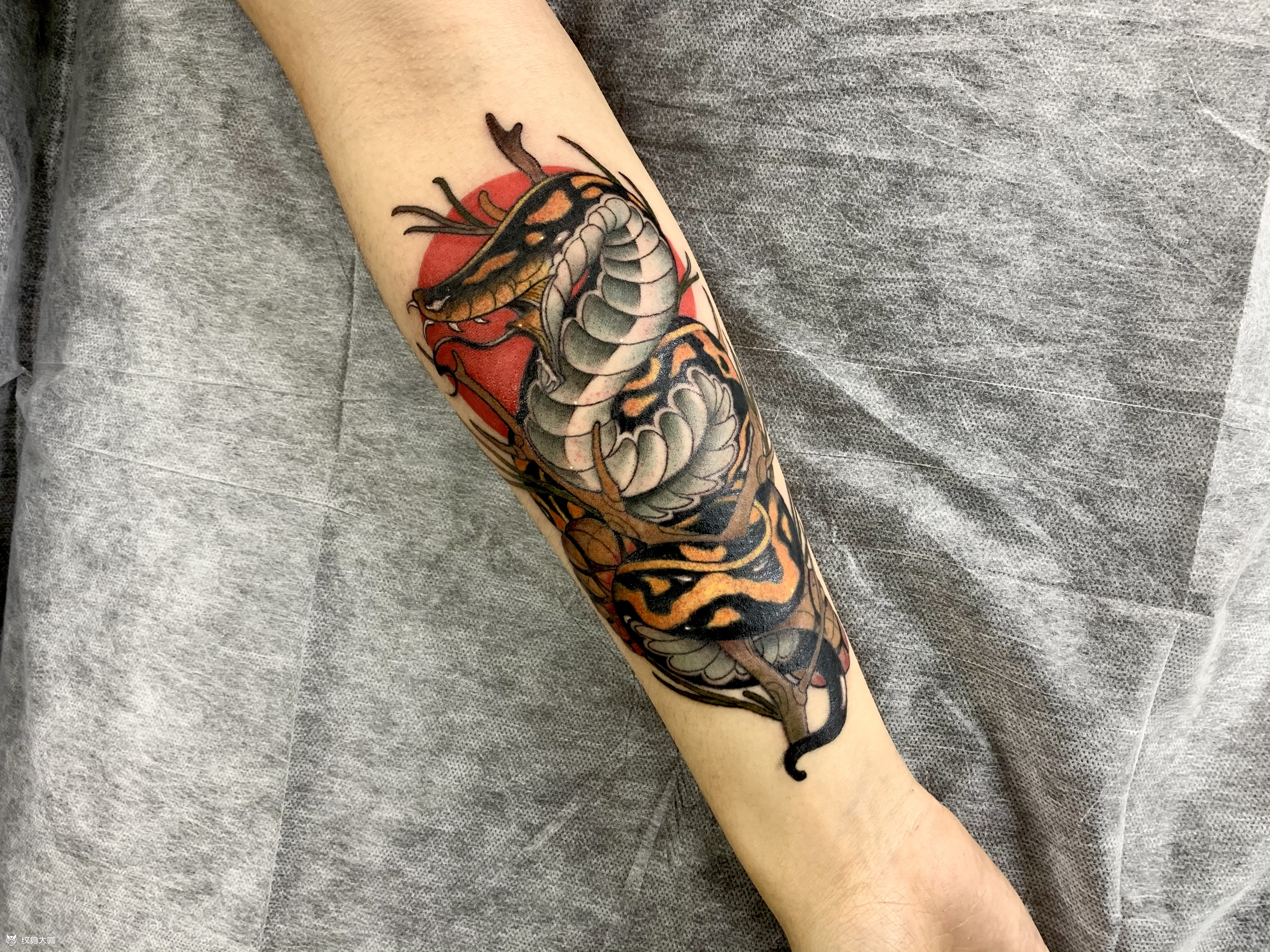 大臂黑灰蛇纹身图案 - 广州纹彩刺青