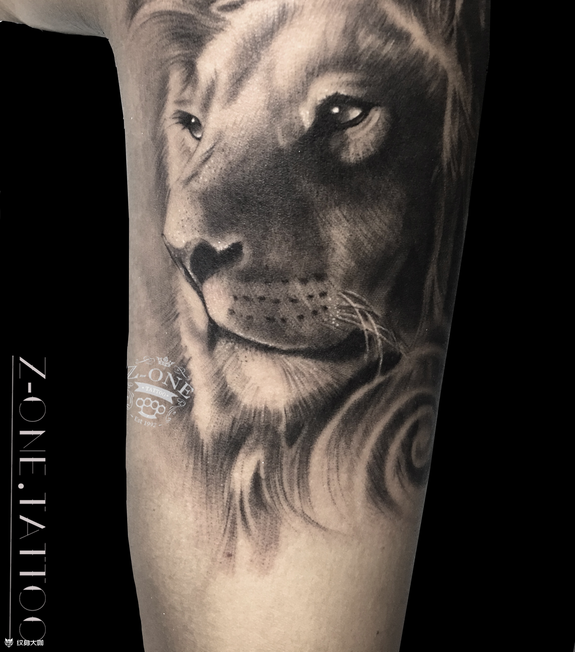 狮子手臂纹身图案大全 纹身大咖