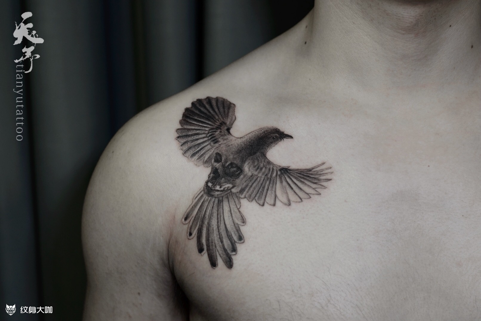 手臂鸟纹身图案作品 - 花臂半胛作品 武汉老兵纹身