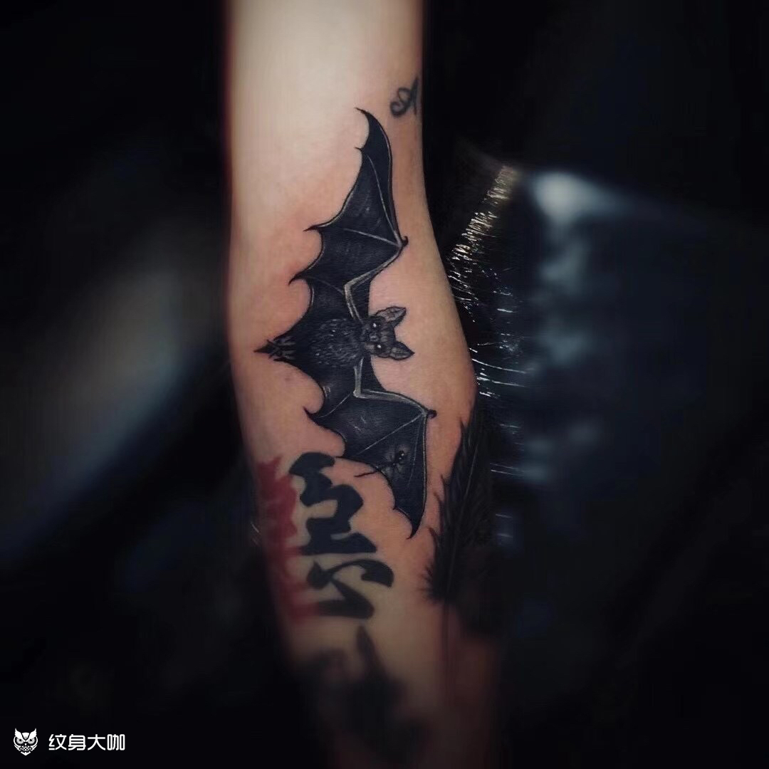 蝙蝠_纹身图案手稿图片_墨道 tattoo 林的纹身作品集