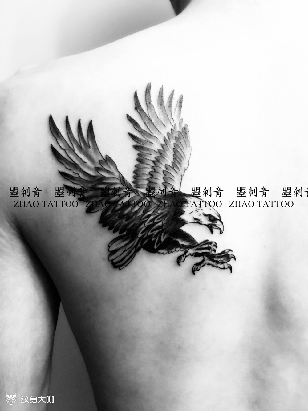 鹰07_纹身图案手稿图片_曌山河的纹身作品集