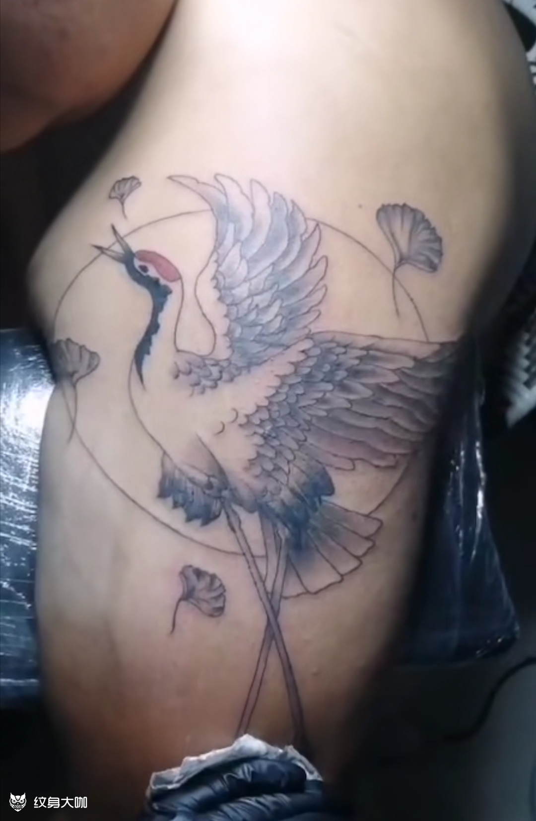 仙鹤_纹身图案手稿图片_玖柒 陈嬷嬷的纹身作品集