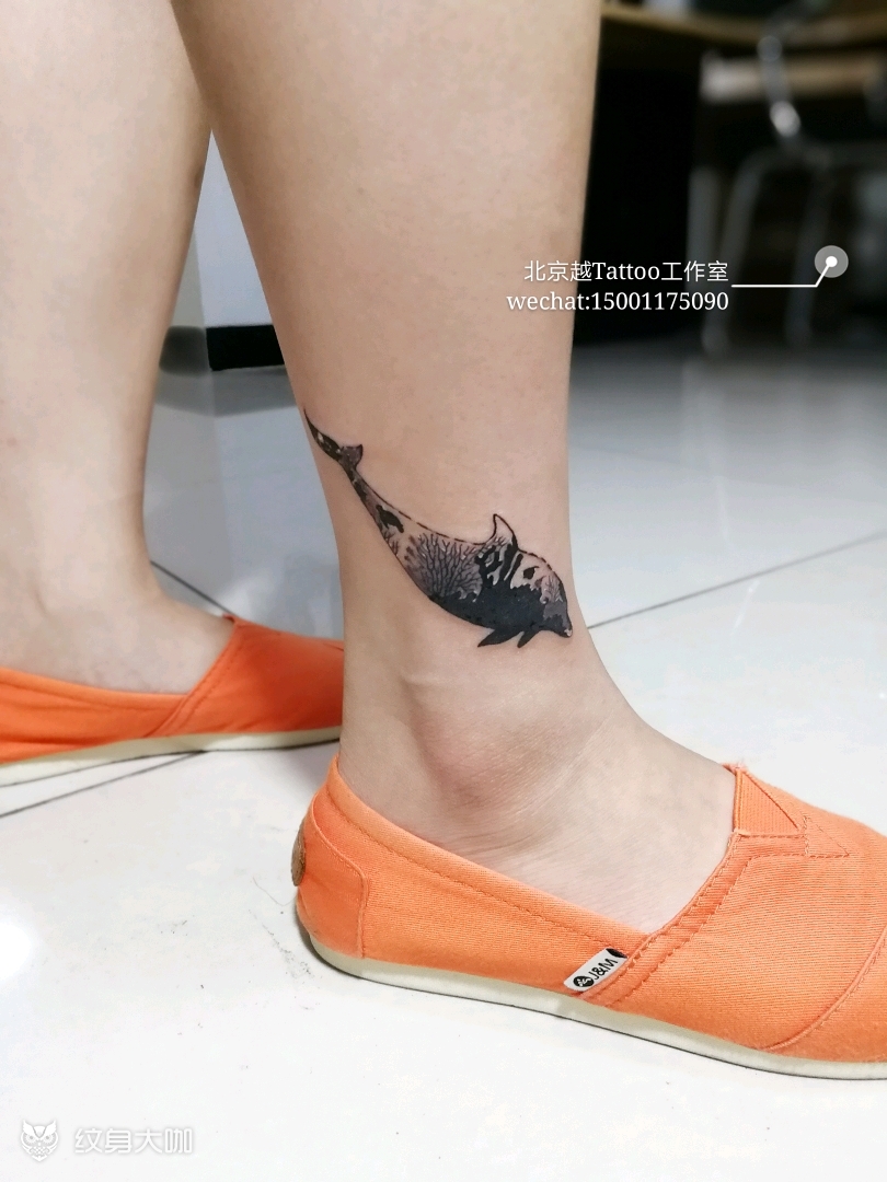 海豚_纹身图案手稿图片_tattoo越 的纹身作品集