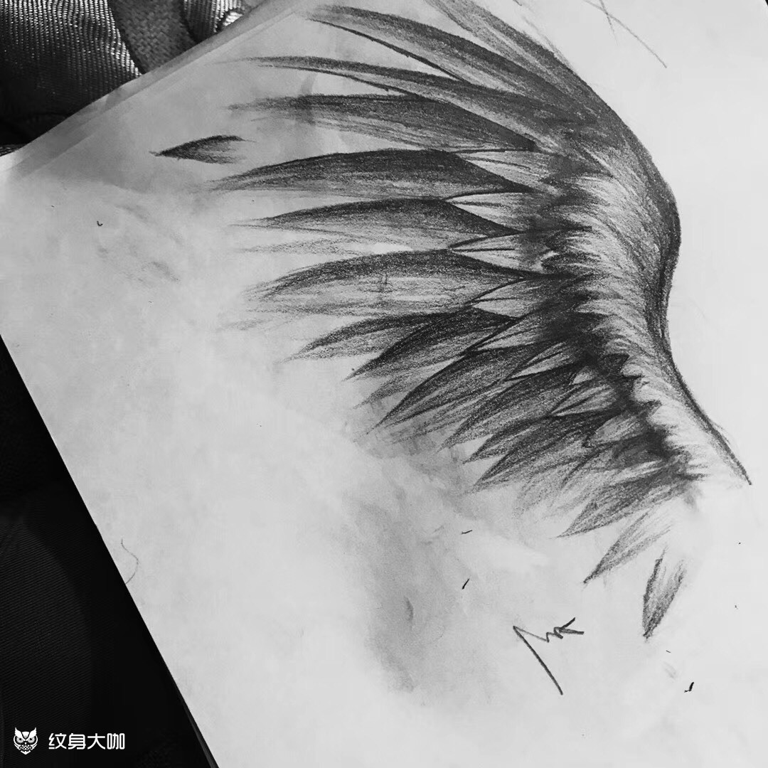 左半边翅膀