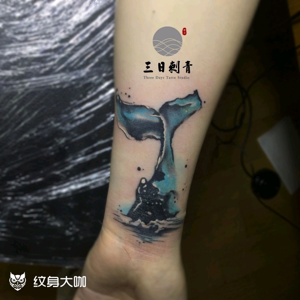 鲸鱼_纹身图案手稿图片_小芳的纹身作品集