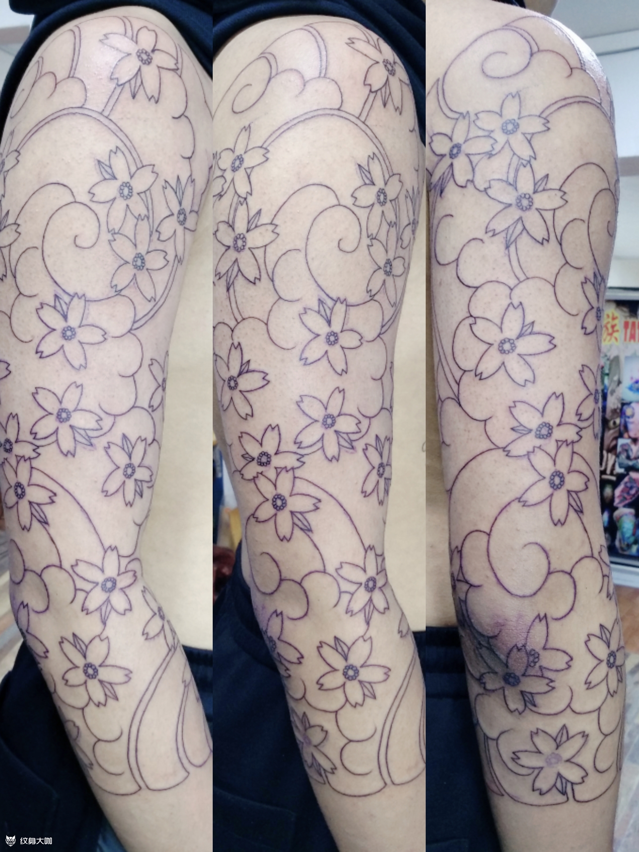 樱花七分袖_纹身图案手稿图片_皇族tattoo的纹身作品集