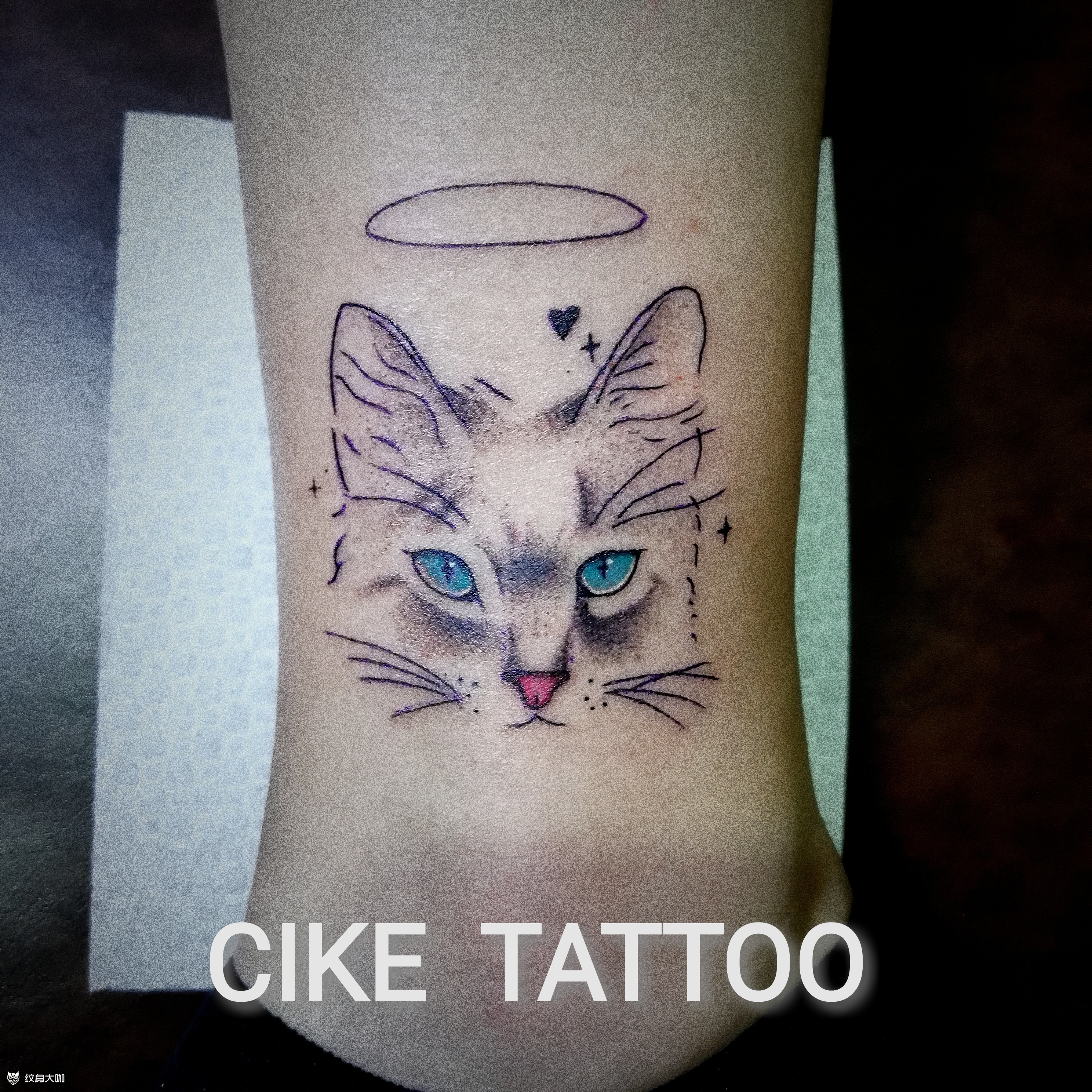 猫咪_纹身图案手稿图片_杜青飞的纹身作品集