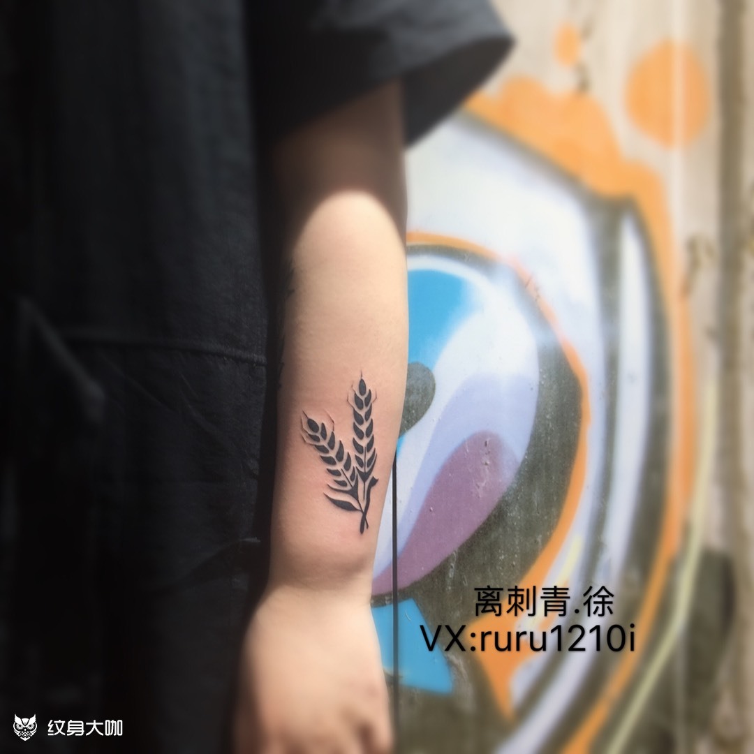 麦穗_纹身图案手稿图片_徐徐的纹身作品集