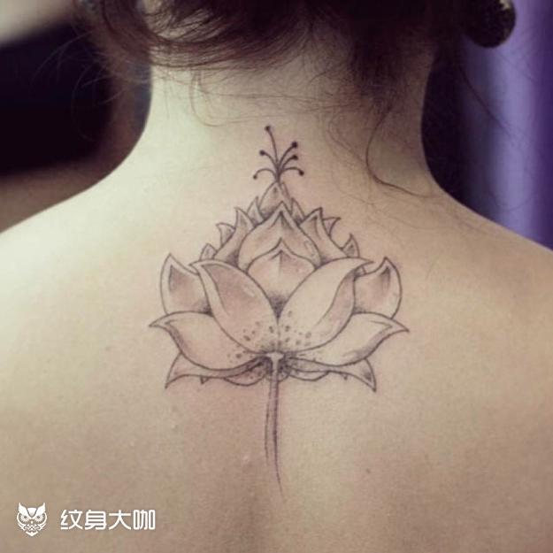 植物莲花纹身图案大全 - 纹身大咖