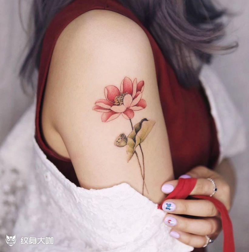 大臂莲花_纹身图案手稿图片_王英俊的纹身作品集