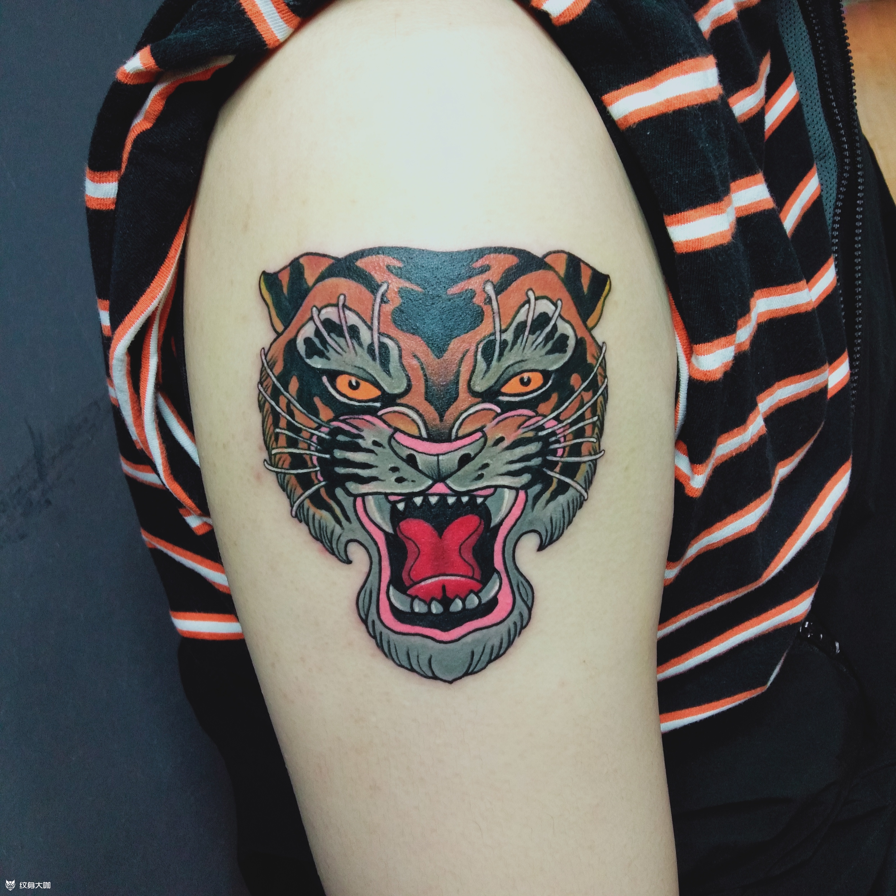 欧美oldschool老虎头_纹身图案手稿图片_盘龙tattoo