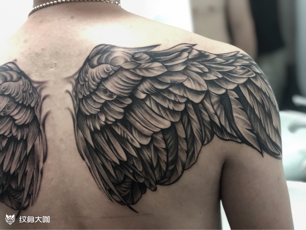 翅膀纹身图案男后背内容图片分享