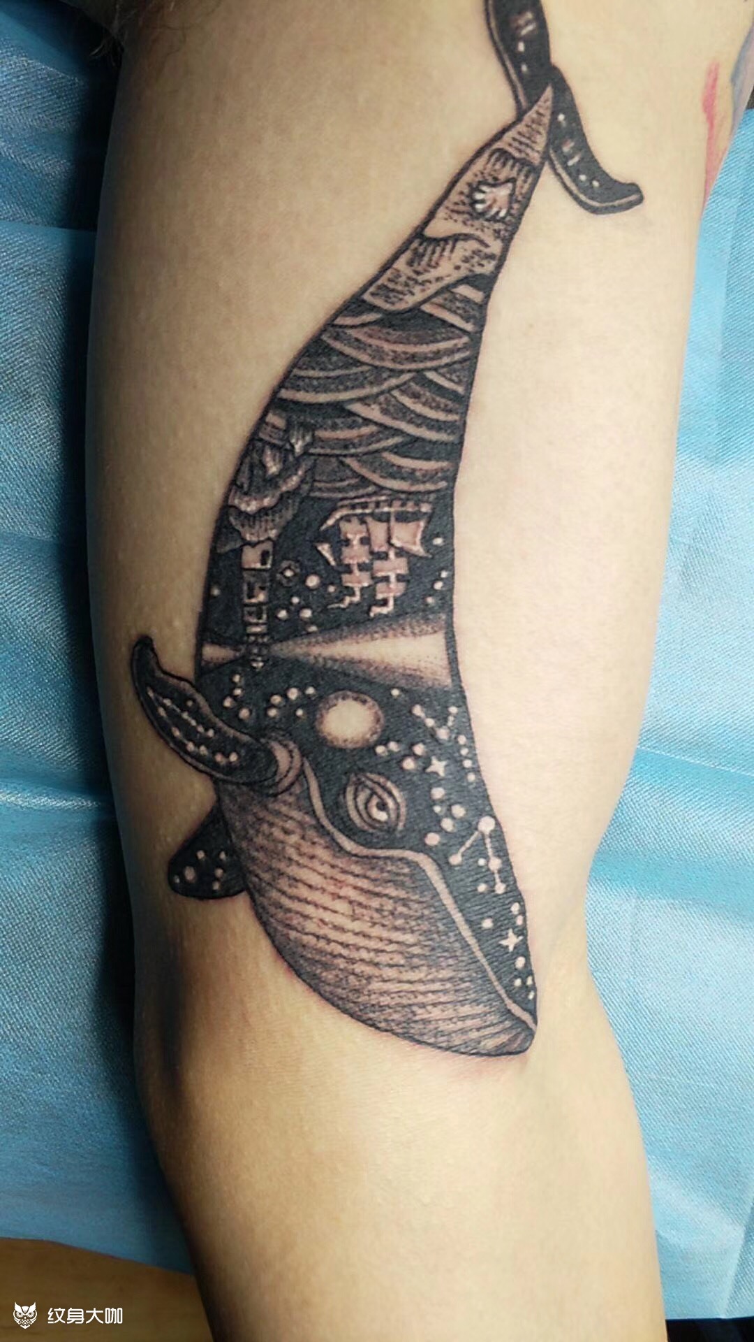 鲸鱼_纹身图案手稿图片_玖炫刺- 羿的纹身作品集