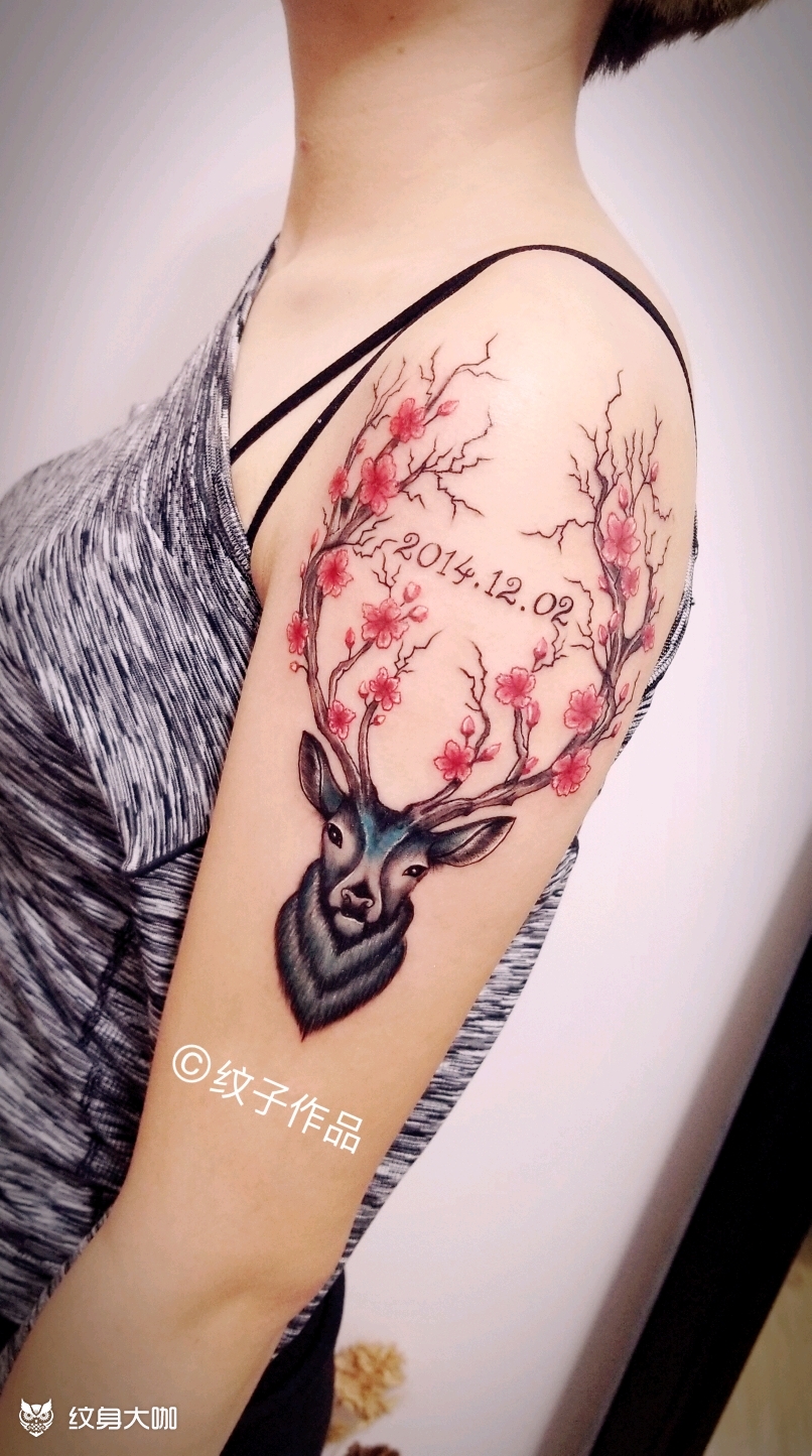 梅花鹿_纹身图案手稿图片_马莉的纹身作品集