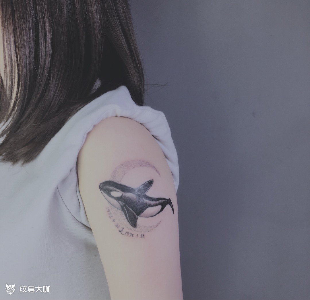 小鲸鱼_纹身图案手稿图片_张晓虎的纹身作品集