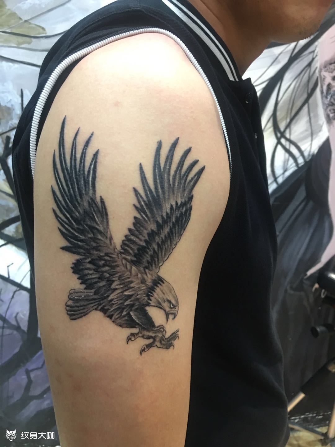 大臂鹰_纹身图案手稿图片_老萌的纹身作品集