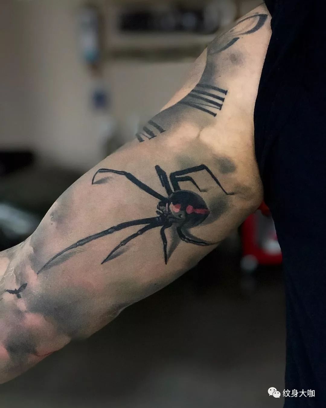 纹身手稿素材第522期：蜘蛛_纹身百科 - 纹身大咖