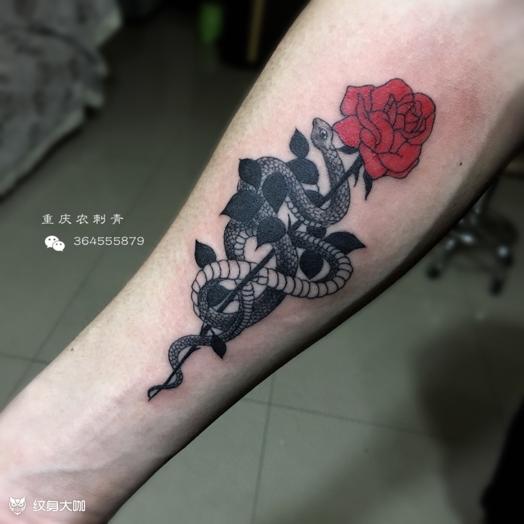 玫瑰花蛇_纹身图案手稿图片_…限时优惠中…的纹身作品集