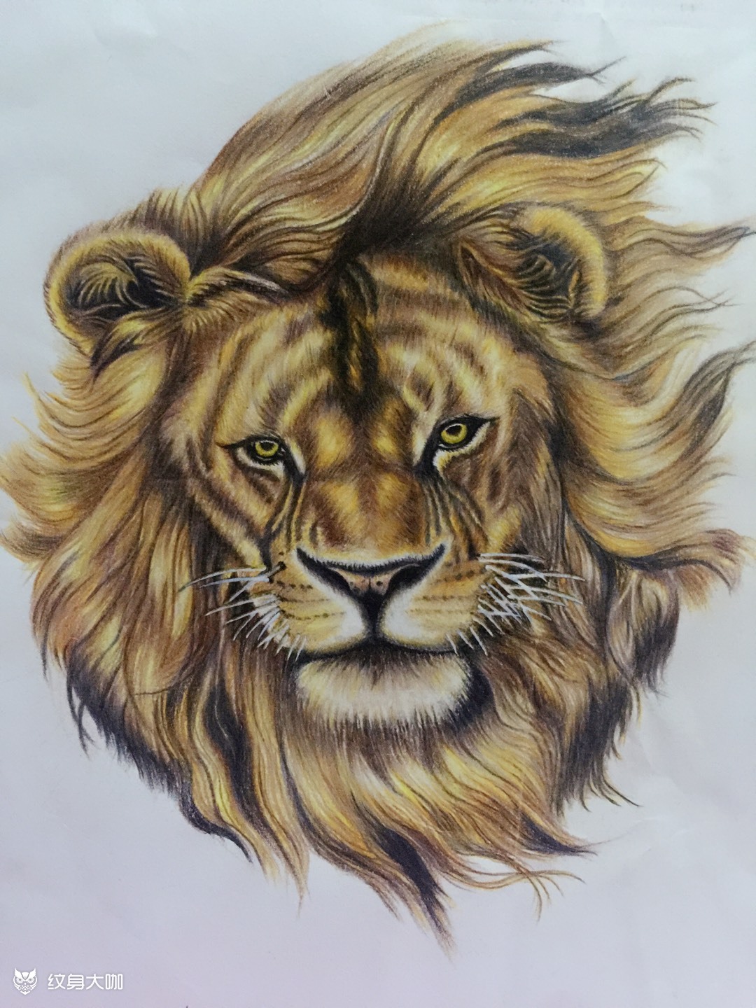 狮子头_纹身图案手稿图片_lich的纹身作品集