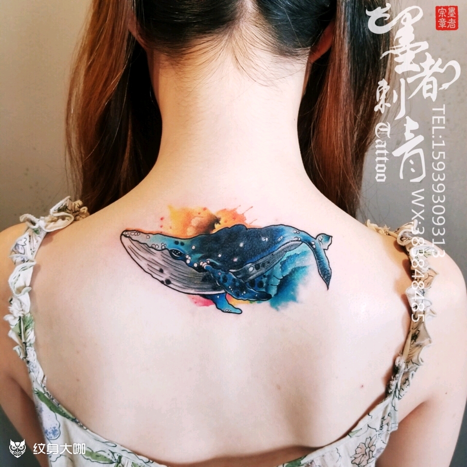 鲸鱼95遮盖旧图_纹身图案手稿图片_墨者tattoo的