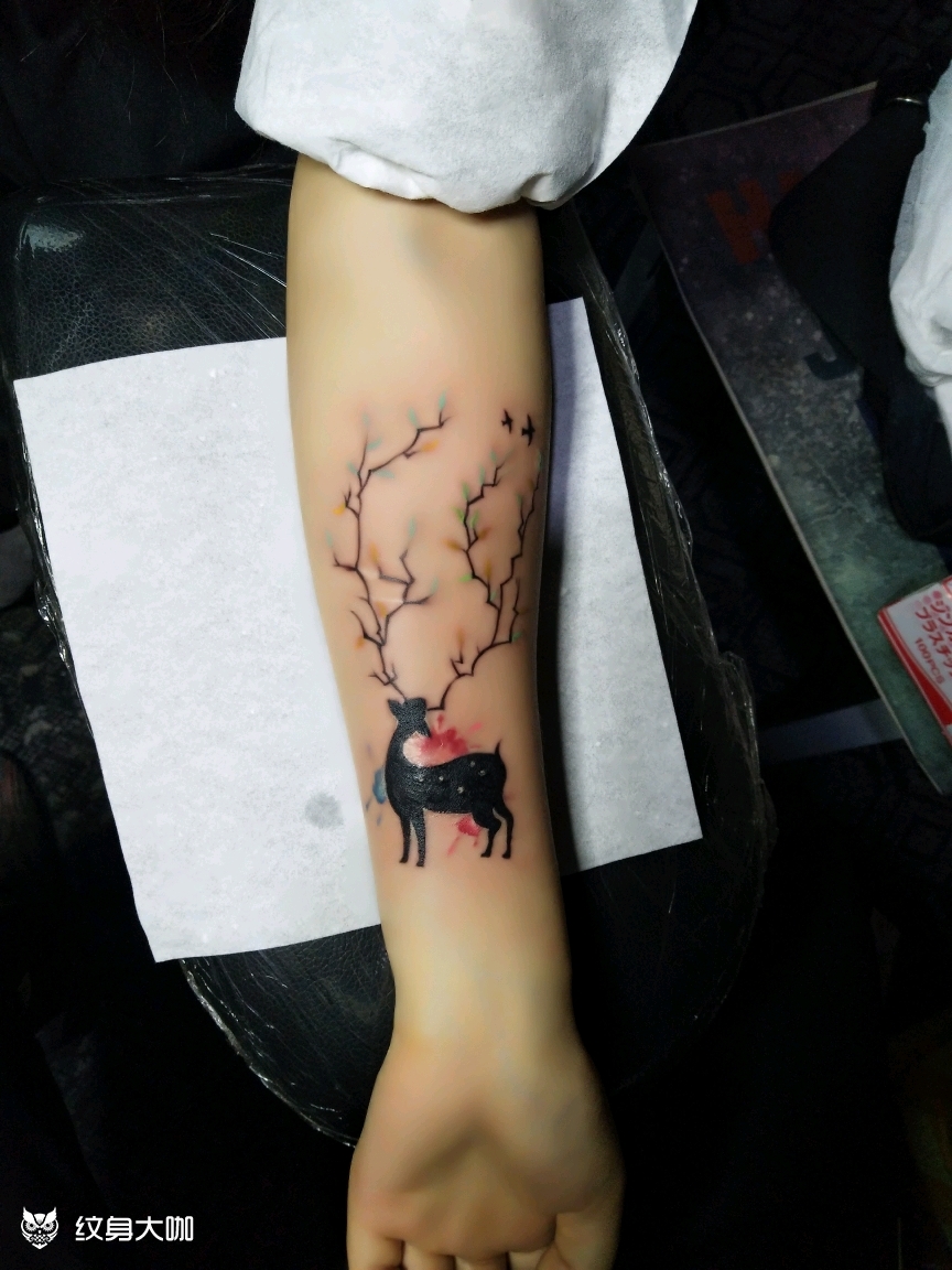 小鹿遮盖疤痕_纹身图案手稿图片_陈建涛的纹身作品集