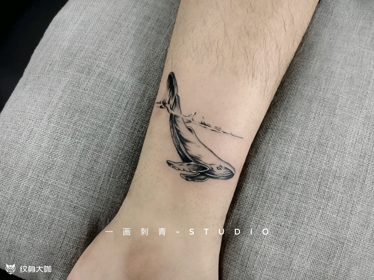 鲸鱼_纹身图案手稿图片_伟…的纹身作品集
