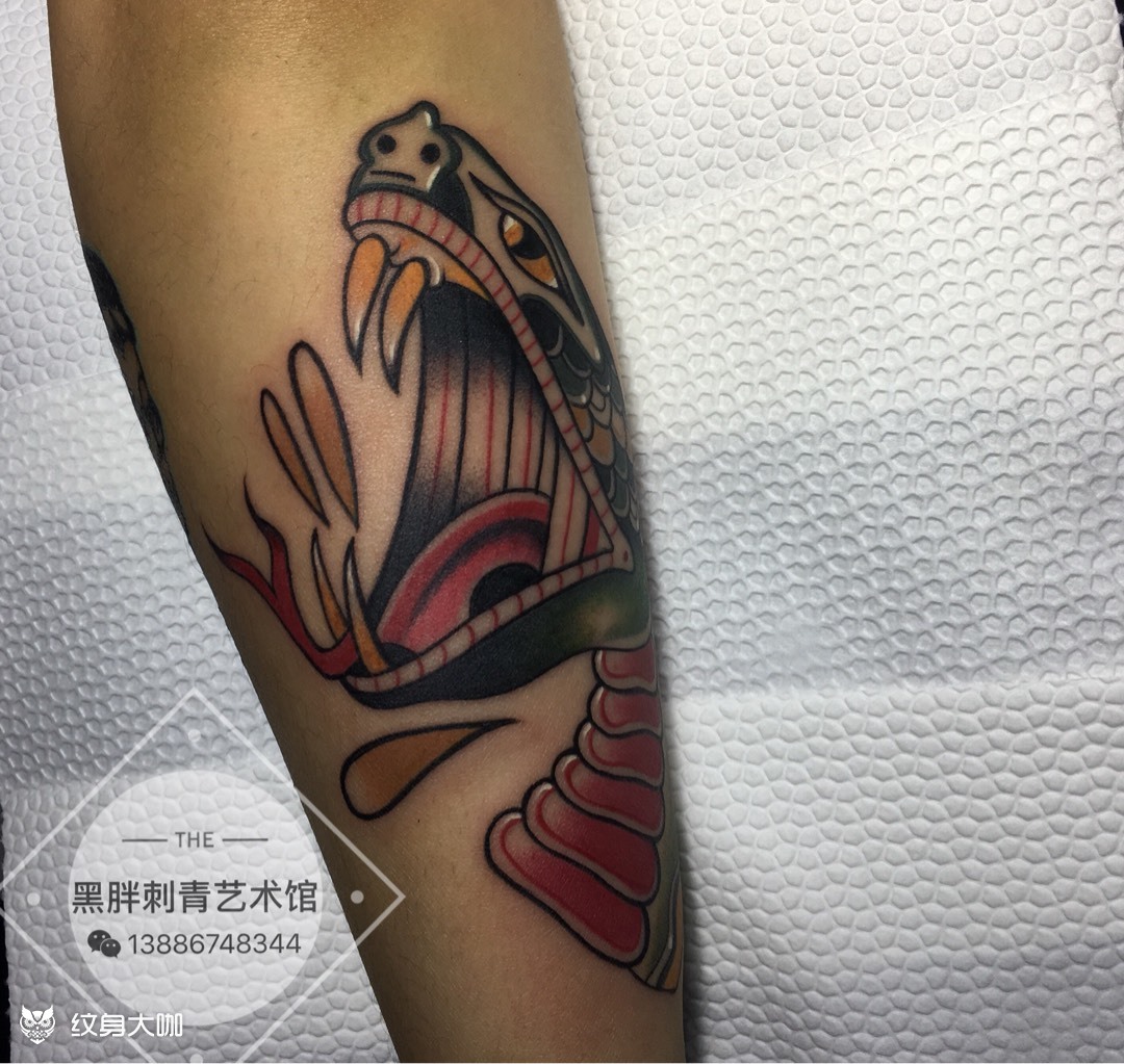 蛇头