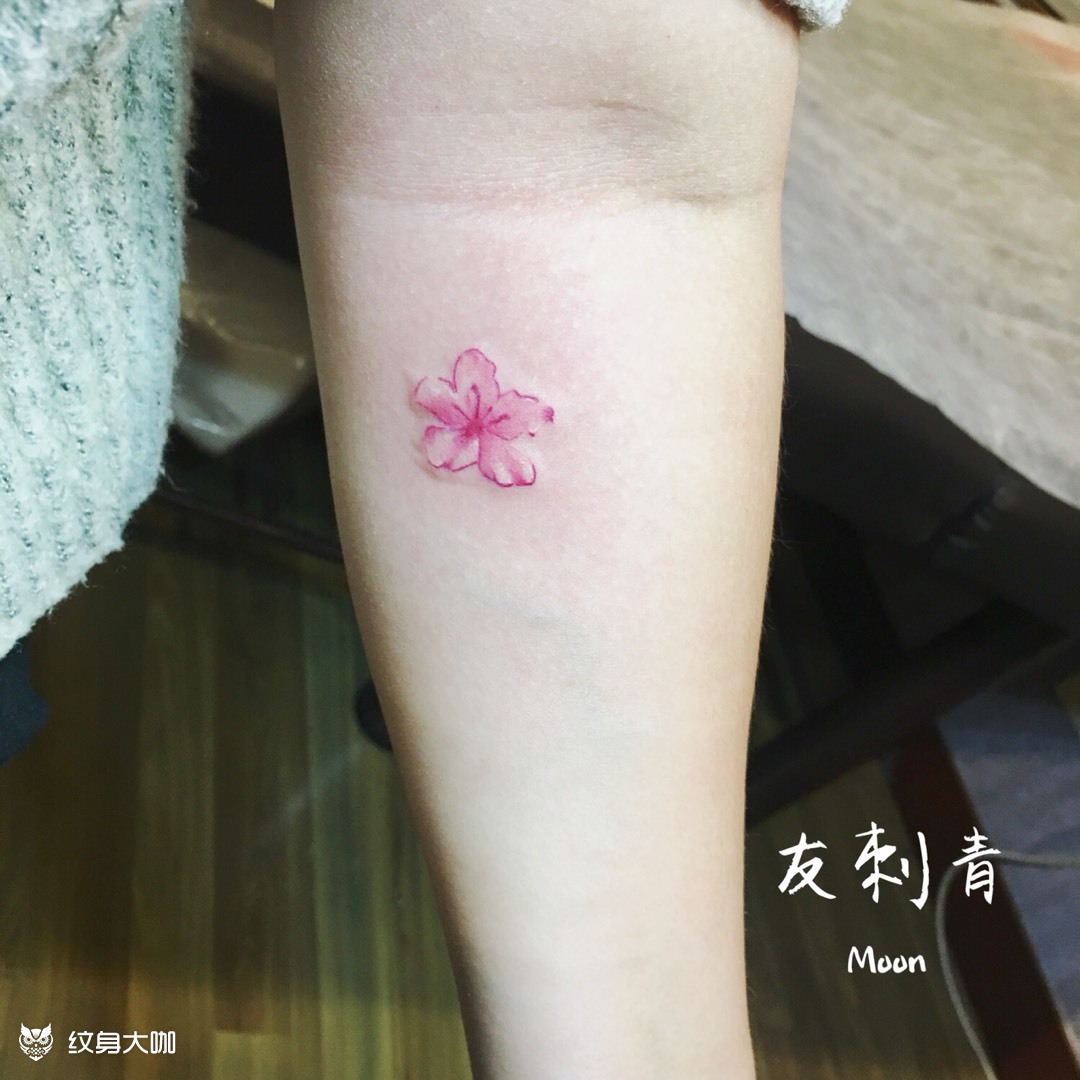 樱花_纹身图案手稿图片_范民月的纹身作品集