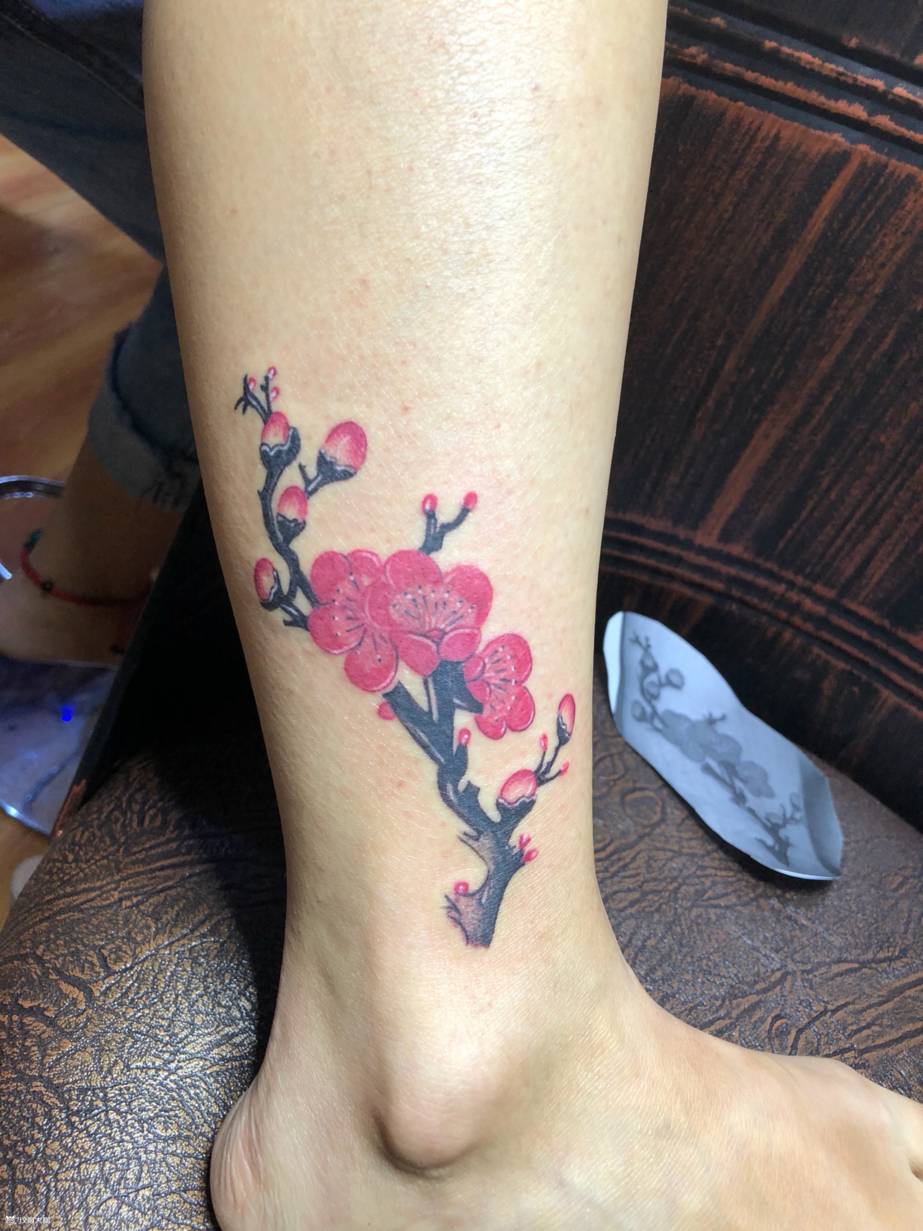 梅花_纹身图案手稿图片_种小波的纹身作品集