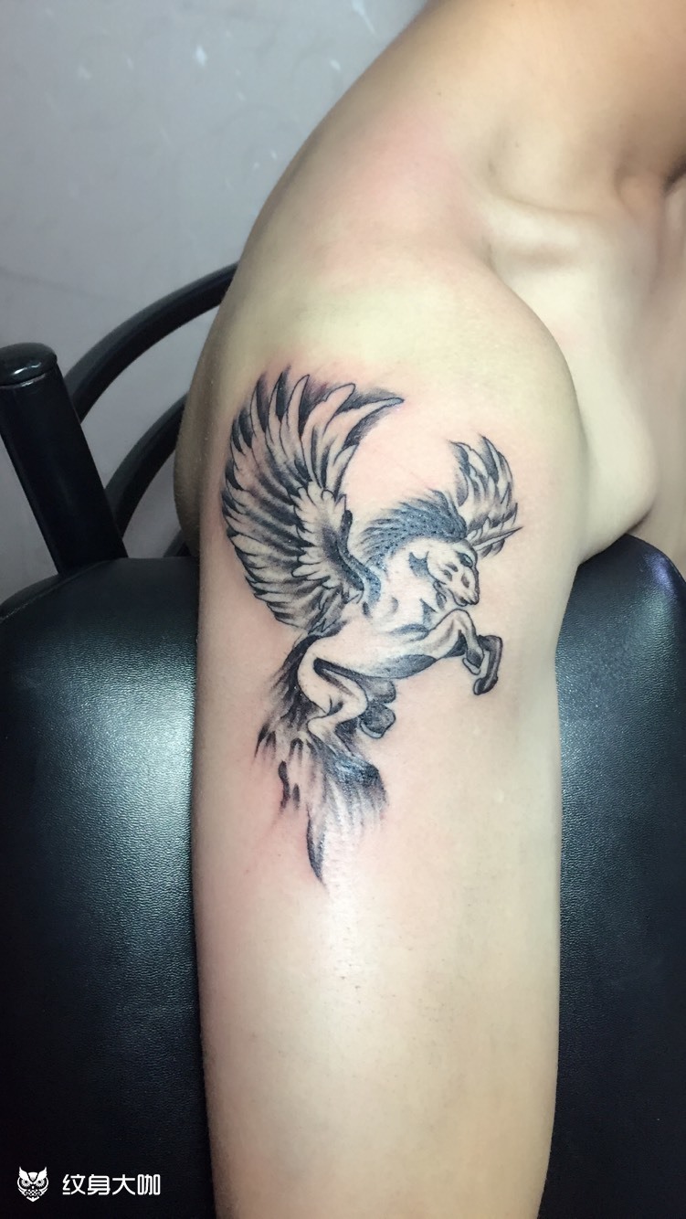 天马_纹身图案手稿图片_中山强子的纹身作品集