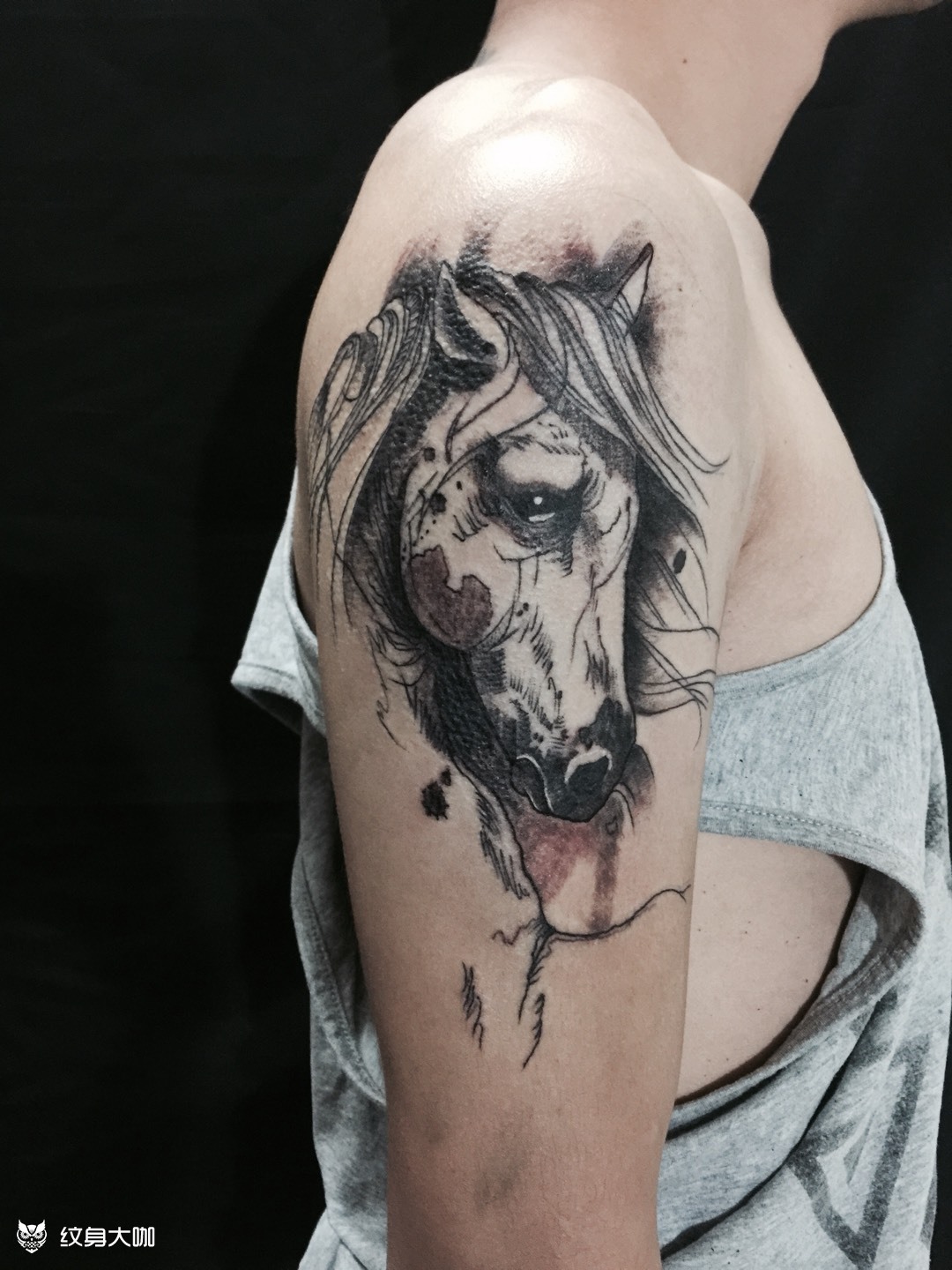 速写马_纹身图案手稿图片_dylan的纹身作品集