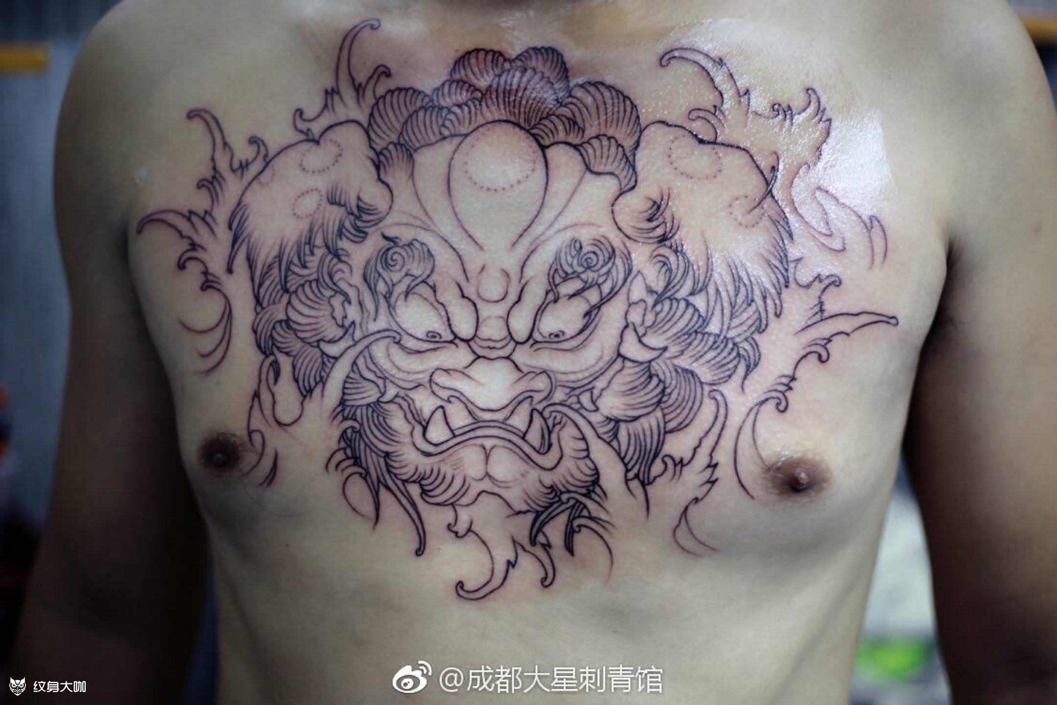 花胸-唐狮0315_纹身图案手稿图片_纹画人大星的纹身作品集