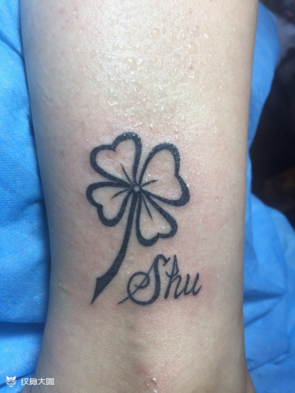 四叶草_纹身图案手稿图片_张林的纹身作品集