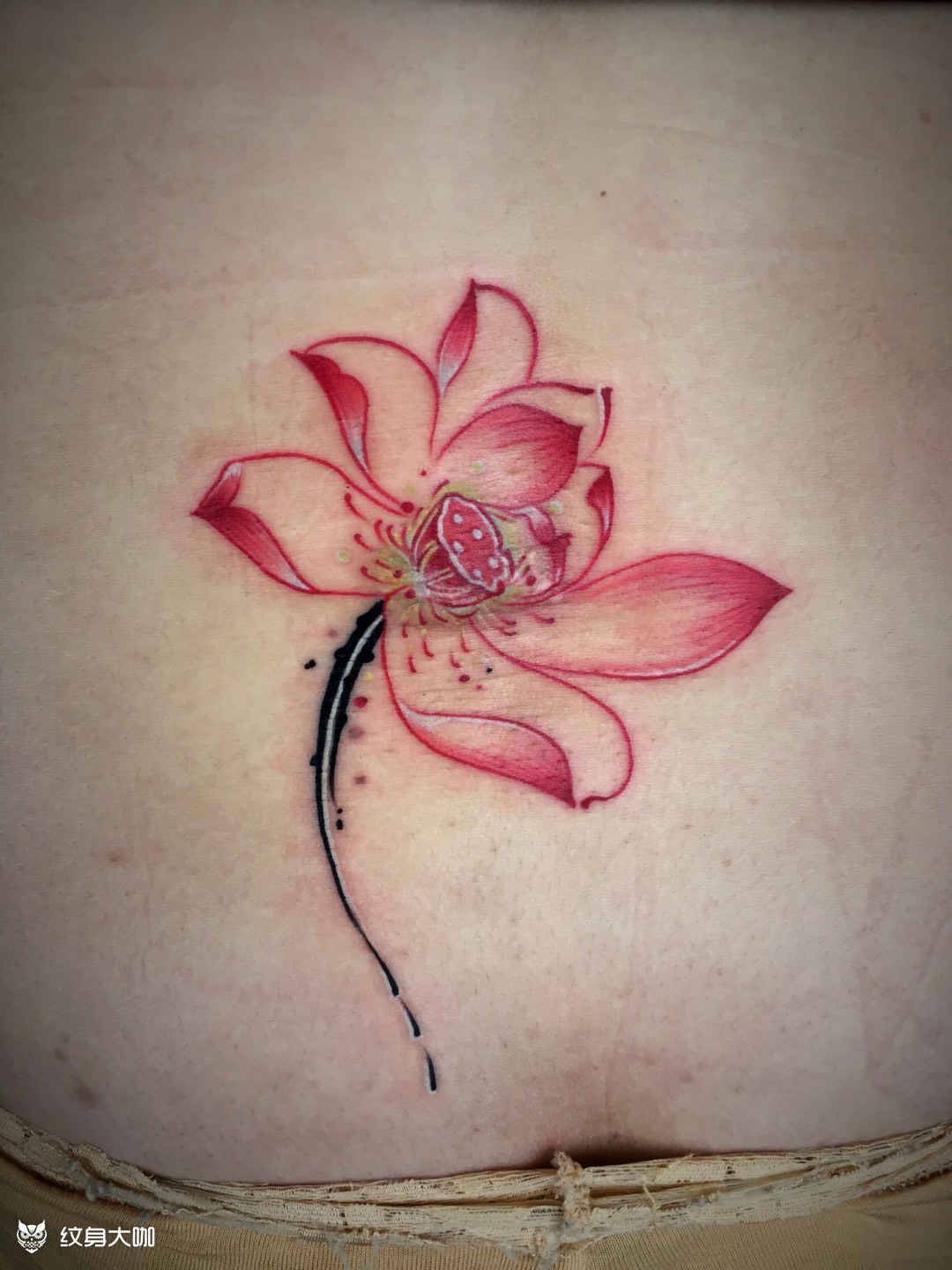 莲花_纹身图案手稿图片_老李的纹身作品集