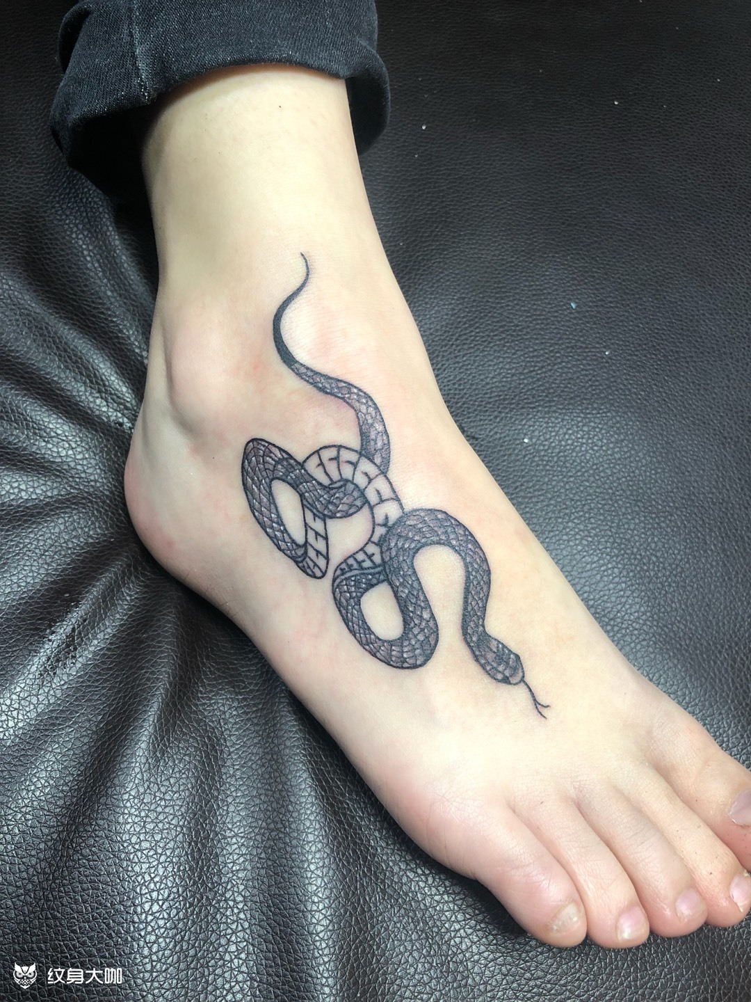 脚背蛇_纹身图案手稿图片_张寒的纹身作品集